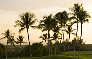 Images Dated 2028: Waikoloa Hawaii Big Island golf course at exclusive Kings Golf Course at Waikoloa