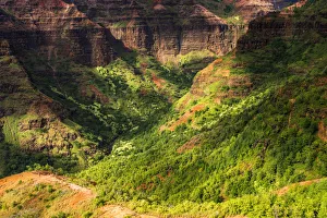 Distant Prints: Waimea Canyon, Waimea Canyon State Park, Kauai, Hawaii, USA