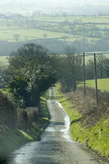 Images Dated 17th February 2007: Wales, narrow road leading down hillside in spring