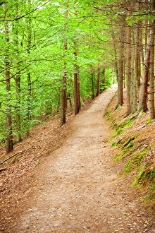 Hiking Trail Prints: Walking trail to Ladonia, Kullaberg, Skane County, Sweden