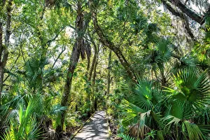 Walkway through Enchanted Forest Nature Sanctuary, Titusville, Florida