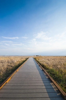 Images Dated 7th August 2011: Walkway going through the Badlands National Park, South Dakota, USA