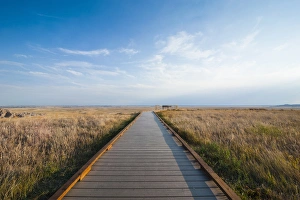 Eroded Prints: Walkway going through the Badlands National Park, South Dakota, USA
