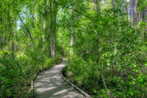 Images Dated 22nd January 2021: Walkway, Sandhills Horticultural Gardens, Pinehurst, North Carolina
