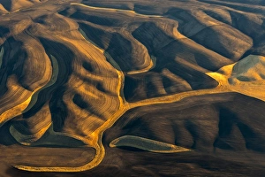 Walla Walla Prints: Walla Walla wine country from aloft