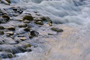Images Dated 5th April 2008: Walls reflect color into the Virgin River at Zion National Park in Utah