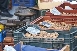 Outdoor Market Prints: Walnuts for sale in plastic ctrates baskets at a market stall at the market in Bergerac