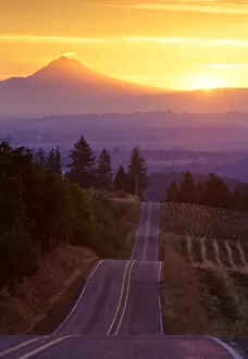 The warm glow of sunrise over Mt. Hood taken from an undulating country road in Washington County