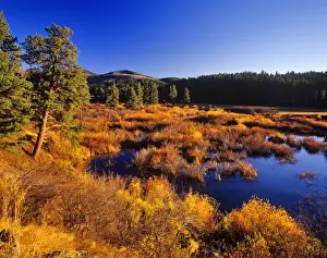 Lewistown Prints: Warm Spring Creek wetlands in autumn in the Judith Mountains near Lewistown, Montana, USA
