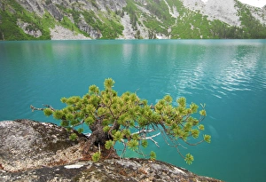 Images Dated 16th March 2005: Washington, Cascade Mountains, Leavenworth