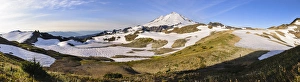 Cascades Prints: Washington, Cascade Mountains. Mount Baker panorama, from Ptarmigan Ridge