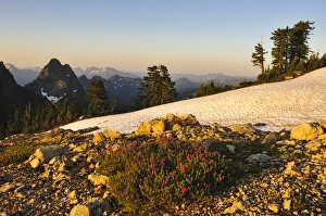 Images Dated 12th August 2012: Washington, Cascade Mountains, Mount Baker-Snoqualmie National Forest, Gothic Basin