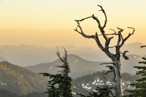Washington, Cascade Mountains, Mount Baker-Snoqualmie National Forest, Gothic Basin