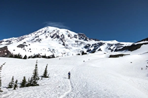Snowy Prints: Washington, Mount Rainier. Hiker on the trail from Paradise to Camp Muir