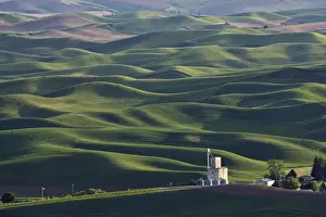 Rolling Landscape Prints: Washington, Palouse. A grain elevator near Steptoe Butte
