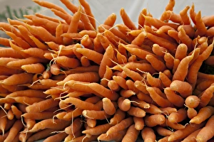 Seattle Prints: Washington, Seattle, Ballard Market. Carrots for sale at the market