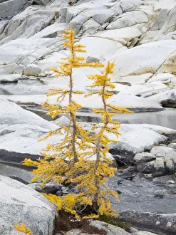 Images Dated 13th December 2018: Washington State, Alpine Lakes Wilderness