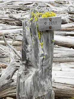 Images Dated 13th December 2018: Washington State, Alpine Lakes Wilderness. Trail sign