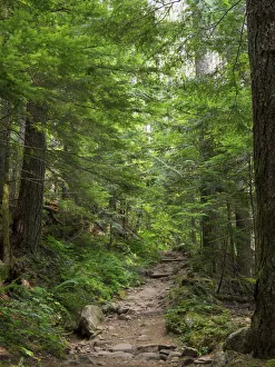Images Dated 14th October 2021: Washington State, Central Cascades, Granite Mountain trail