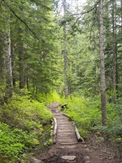 Images Dated 14th October 2021: Washington State, Central Cascades, Trail to Pratt Ridge