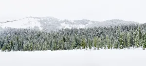 Images Dated 2nd November 2021: Washington State, Central Cascades. Winter at frozen Olallie Lake
