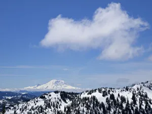 Images Dated 18th May 2022: Washington State, Central Cascades. View of Mount Rainier from Pratt Mountain