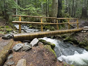 Images Dated 18th May 2022: Washington State, Central Cascades. Footbridge over Talapus Creek