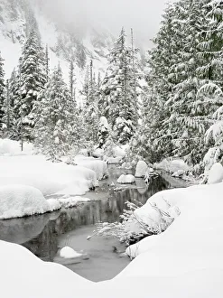 Images Dated 20th October 2022: Washington State, Central Cascades. Granite Creek winter scene