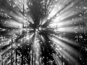 Images Dated 25th January 2024: Washington State, Central Cascades. South Bessemer Mountain, sunrays in the morning