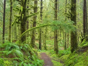 Danita Delimont New Images May 2025 Prints: Washington State, Central Cascades