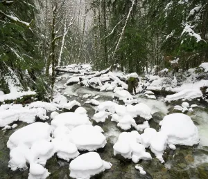 Danita Delimont New Images May 2025 Prints: Washington State, Central Cascades