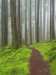 Danita Delimont New Images May 2025 Prints: Washington State, Central Cascades