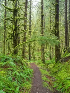 Danita Delimont New Images May 2025 Prints: Washington State, Central Cascades