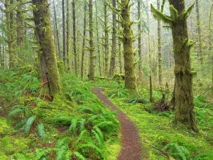 Danita Delimont New Images May 2025 Prints: Washington State, Central Cascades
