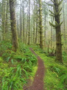 Danita Delimont New Images May 2025 Prints: Washington State, Central Cascades