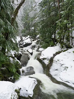 Washington State, Central Cascades. Martin Creek