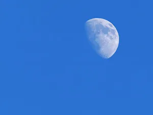 Images Dated 20th October 2022: Washington State, first Quarter Moon