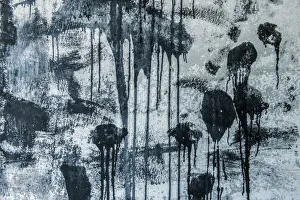 Images Dated 24th June 2021: Washington State. Fort Casey Historical State Park, Painted Wall Abstract