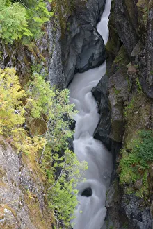 Images Dated 13th November 2018: Washington State, Mount Rainier National Park. Cowlitz River in Box Canyon