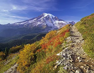 Images Dated 6th May 2020: Washington State, Mount Rainier National Park, view along Pinnacle Saddle trail