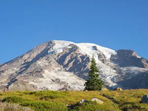 Images Dated 25th January 2024: Washington State, Mount Rainier National Park