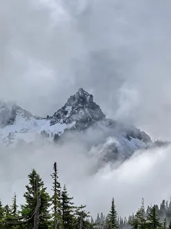 Images Dated 25th January 2024: Washington State, Mount Rainier National Park