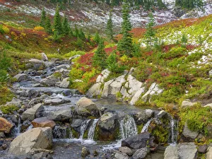 Images Dated 25th January 2024: Washington State, Mount Rainier National Park