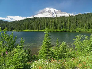 Images Dated 25th January 2024: Washington State, Mount Rainier National Park