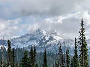 Images Dated 25th January 2024: Washington State, Mount Rainier National Park