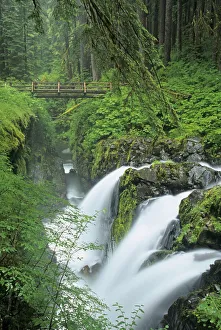 Prints of Washington State, Olympic National Park, Sol Duc Falls with bridge over Sol Duc River Images Dated 2020 May: Washington State, Olympic National Park, Sol Duc Falls with bridge over Sol Duc River