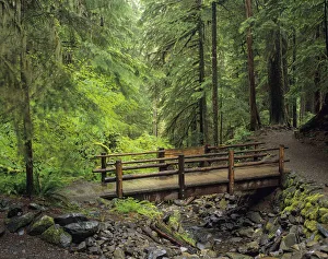Washington State, Olympic National Park, Sol Duc Valley