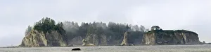 Seastack Prints: Washington State, Olympic National Park, Rialto Beach. James Island