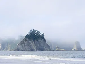 Images Dated 18th May 2022: Washington State, Olympic National Park, Rialto Beach. James Island