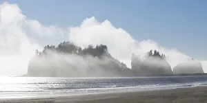 First Beach Prints: Washington State, Pacific Coast, First Beach. James Island in fog